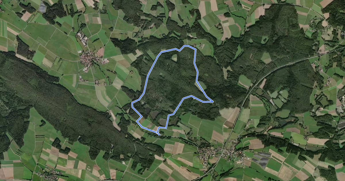 Маршрут Speichersdorf Rundwanderweg Nr. 1 на спутниковом снимке