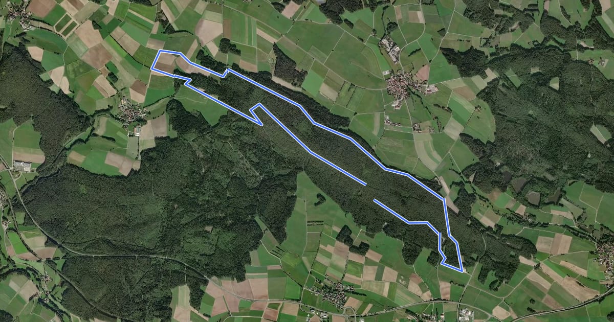 Маршрут Speichersdorf Rundwanderweg Nr. 3 на спутниковом снимке