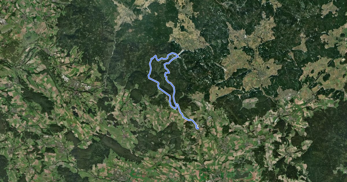Маршрут Speichersdorf Rundwanderweg Nr. 8 "Flötztalweg" на спутниковом снимке