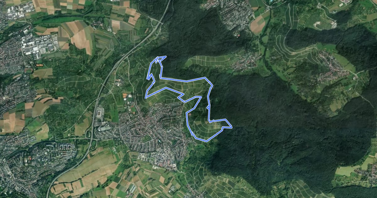 Маршрут Speidelweg на спутниковом снимке