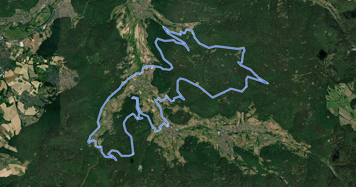 Маршрут Spessart Biken (1) - Roßbacher Täler-Tour на спутниковом снимке