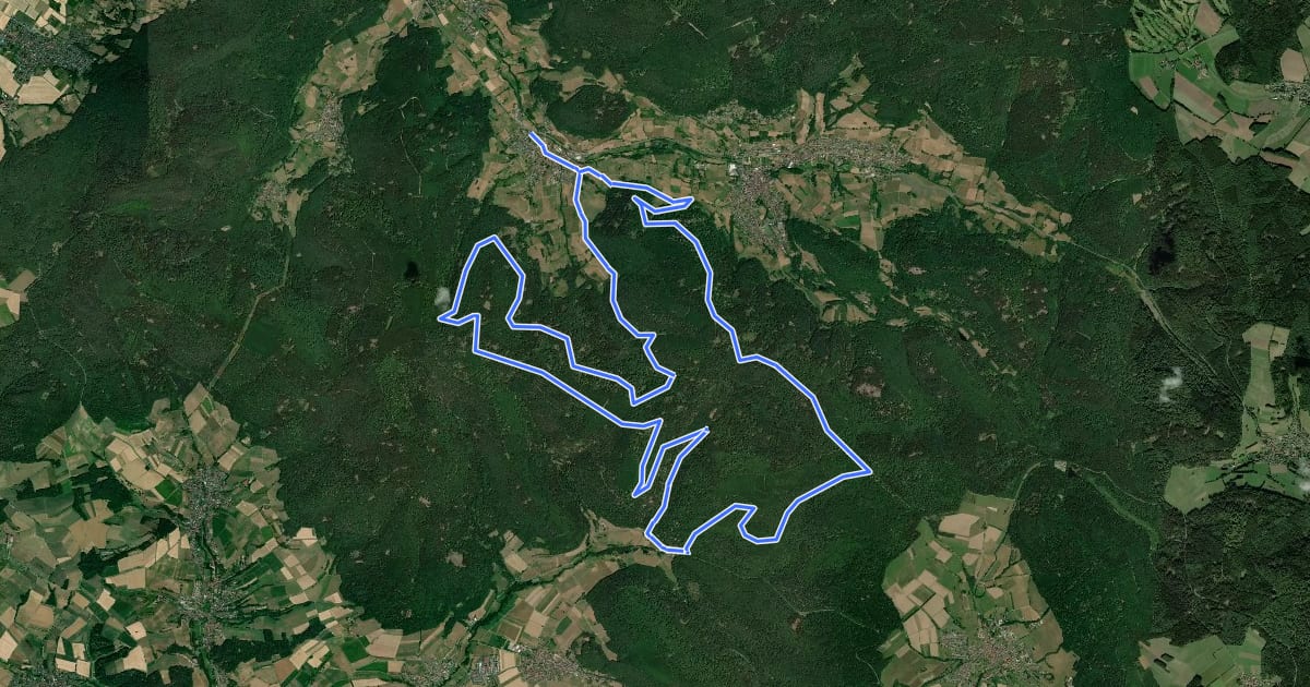 Маршрут Spessart Biken (3) - Ralfs Runde на спутниковом снимке