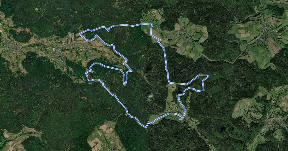Маршрут Spessart Biken (7) - Flörsbachrunde на спутниковом снимке
