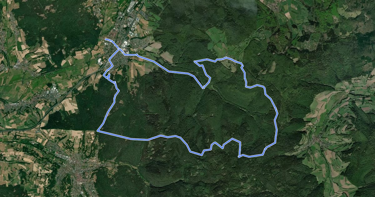 Маршрут Spessart Biken (9) - Alsberger Blick на спутниковом снимке