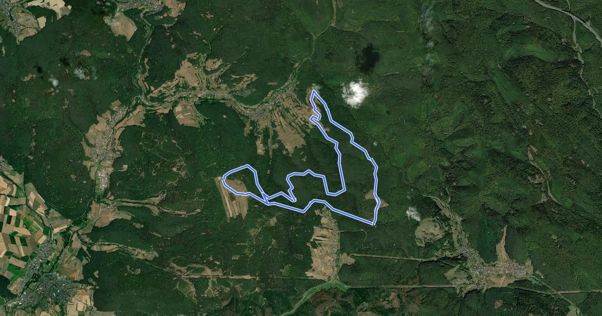 Маршрут Spessarträuberland Weg 1 Rundweg на спутниковом снимке