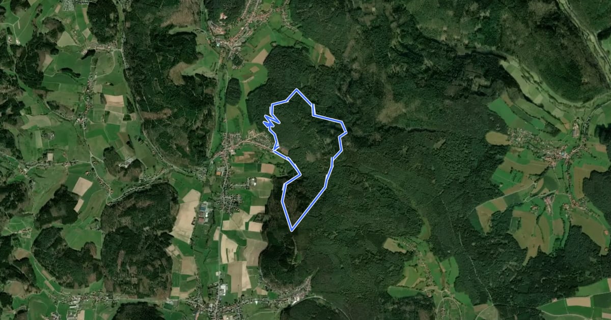 Маршрут Spessartskopf-Weg на спутниковом снимке