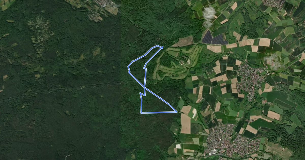 Маршрут Spessartspuren - Altenmarkskopf-Spur Somborn на спутниковом снимке