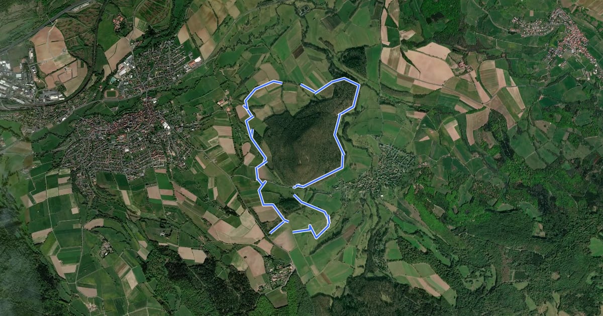 Маршрут Spessartspuren - Bellinger Berg- und Wartenspur на спутниковом снимке