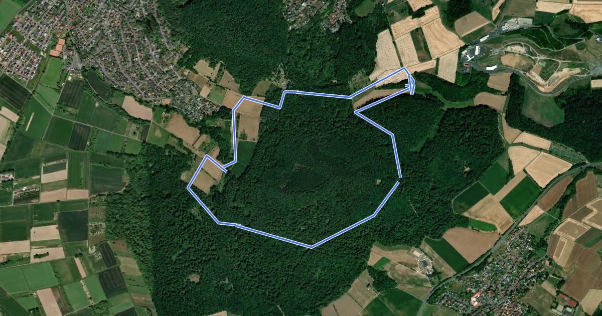 Маршрут Spessartspuren - Hailer Meerholzer Rauen-Berg-Spur на спутниковом снимке
