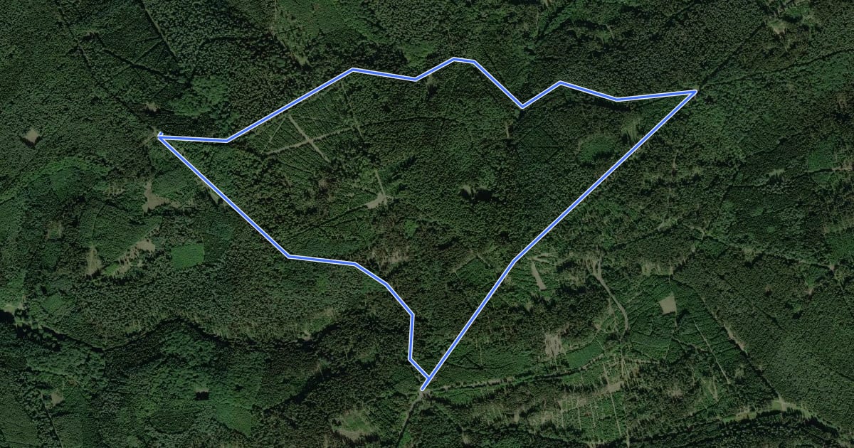Маршрут Spessartspuren - Hohes Kreuz Bad Orb und Markberg на спутниковом снимке