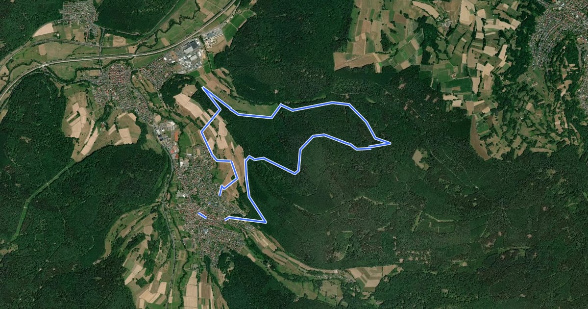 Маршрут Spessartspuren - Kasseler Hirschbachspur на спутниковом снимке