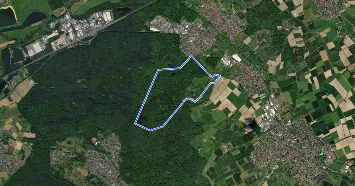 Маршрут Spessartspuren - Neuenhaßlauer Ysenburg-Runde на спутниковом снимке
