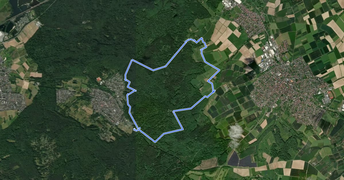 Маршрут Spessartspuren - Oberrodenbach – Dicke Tanne und Edelweißhütte на спутниковом снимке