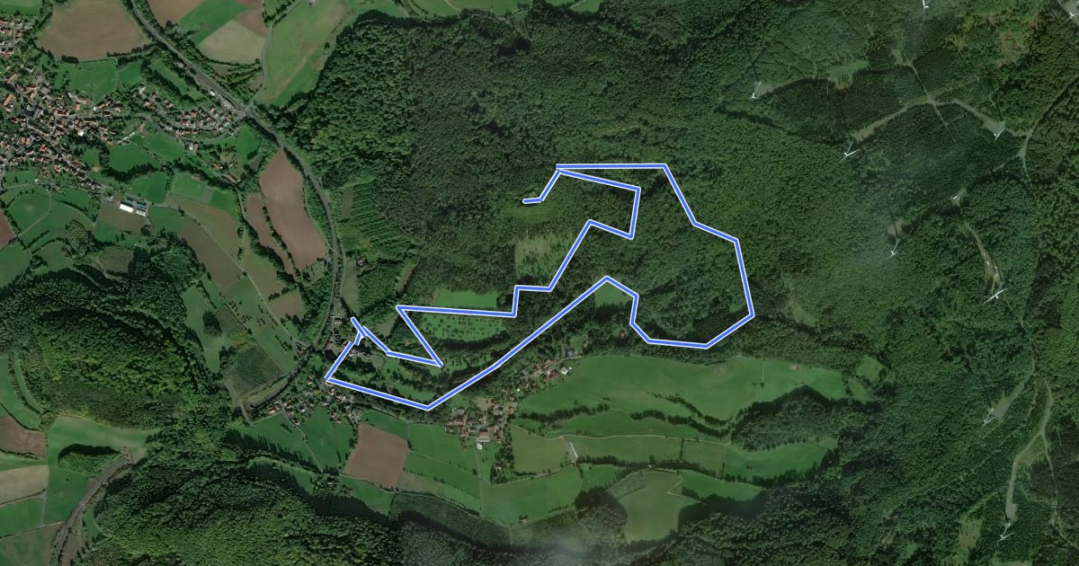 Маршрут Spessartspuren - Ramholzer Schosspark und Burg Steckelberg на спутниковом снимке