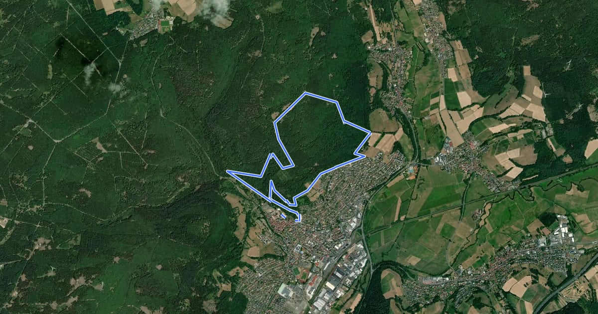 Маршрут Spessartspuren - Wächtersbacher Schlosswald-Spur на спутниковом снимке