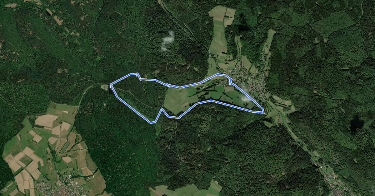 Маршрут Spessartspuren - Wiesbüttmoor und Flörsbacher Panorama на спутниковом снимке