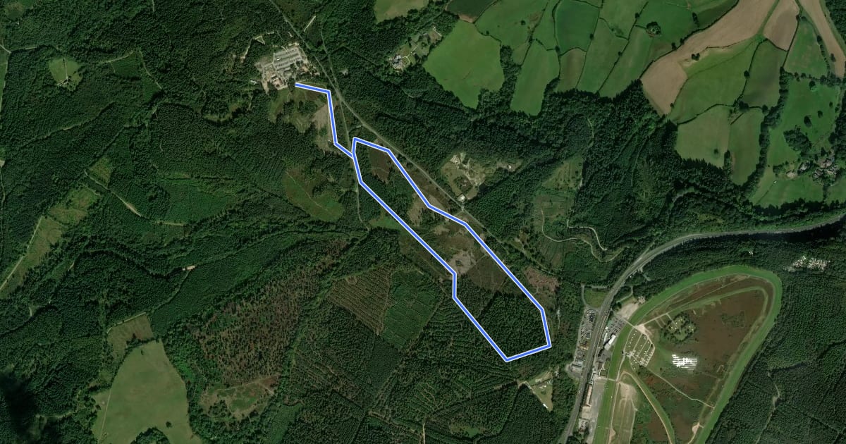 Маршрут Spicers Trail (Blue - moderate) на спутниковом снимке