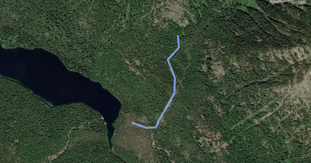 Маршрут Spinola Creek Trail на спутниковом снимке