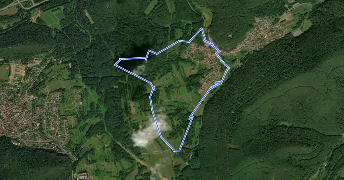 Маршрут Spirkelbacher Rauberg-Tour на спутниковом снимке
