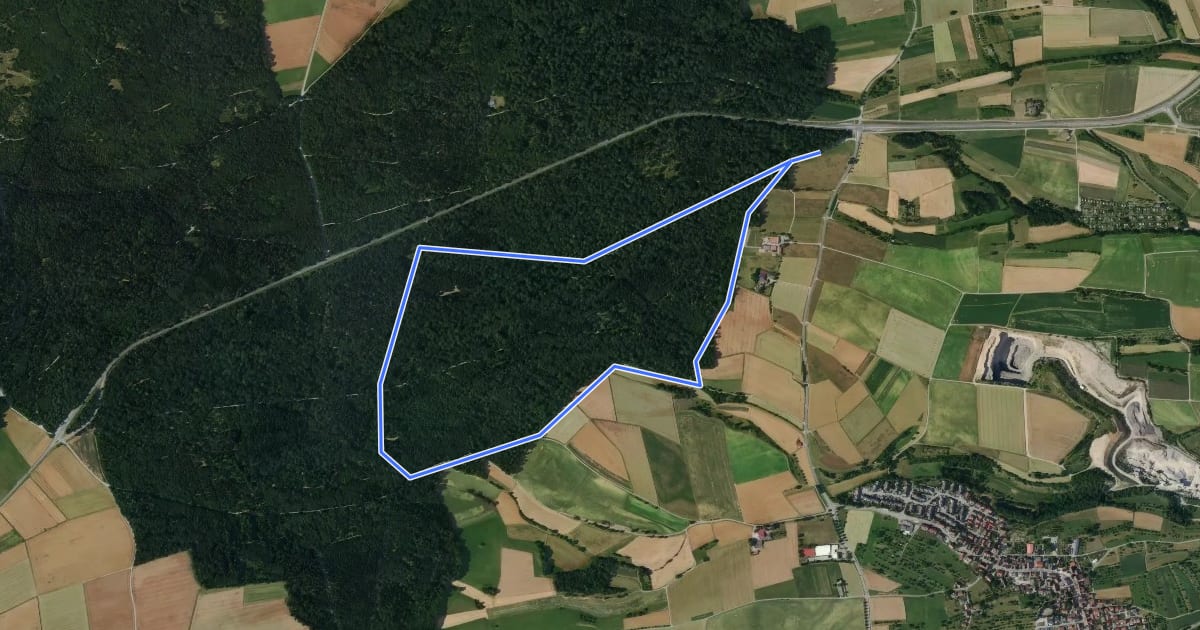 Маршрут Spitalwald-Route на спутниковом снимке