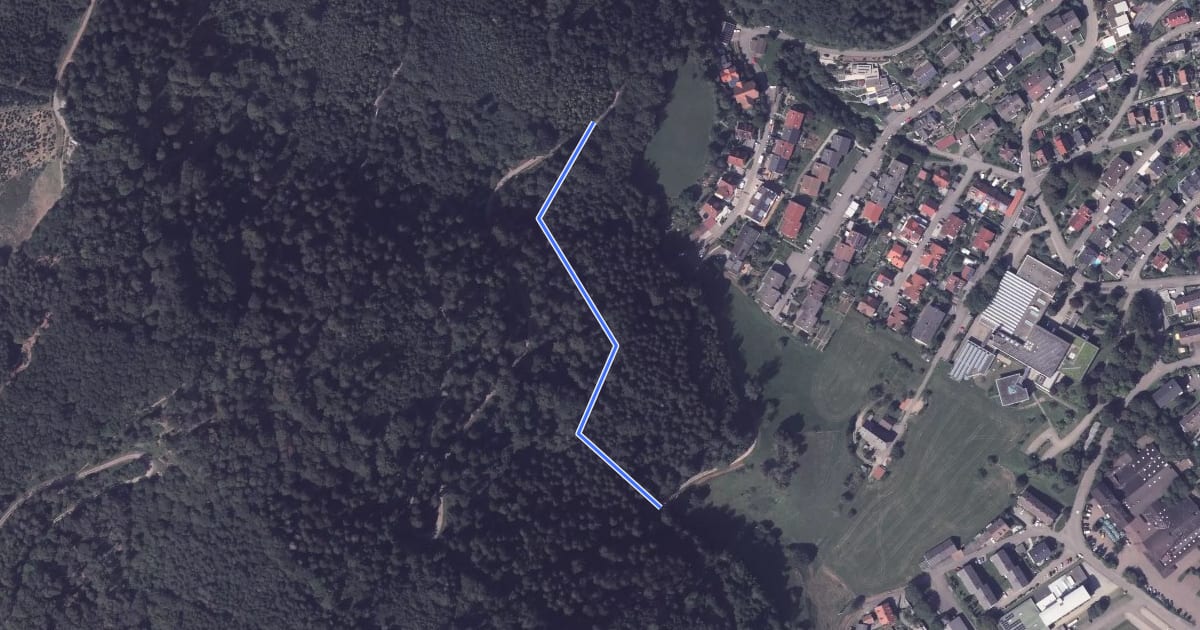 Маршрут Spitzbergweg - Hofbergweg на спутниковом снимке