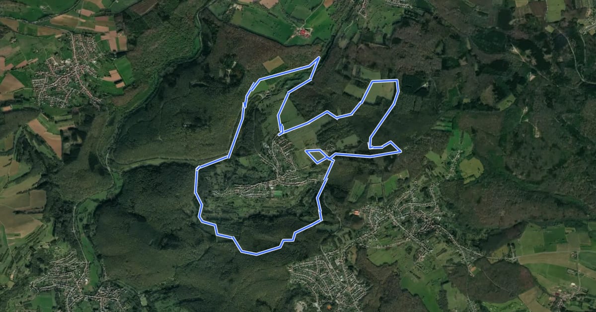 Маршрут Spitzbubenweg Münchwies 13/14 на спутниковом снимке