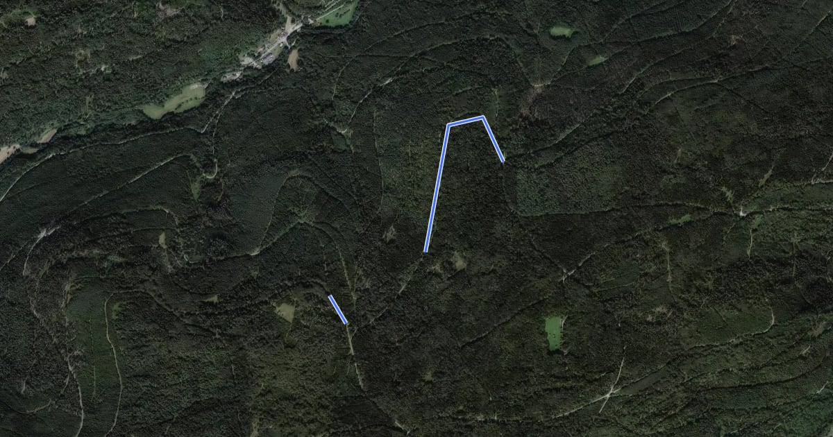Маршрут Spitzhütte - Wildbader Teich на спутниковом снимке