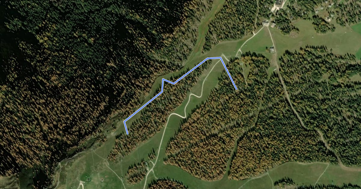 Маршрут Spitzhorn Trail на спутниковом снимке