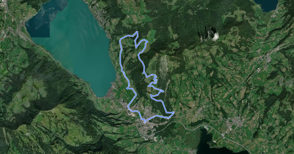 Маршрут Spitzibüel Tour на спутниковом снимке