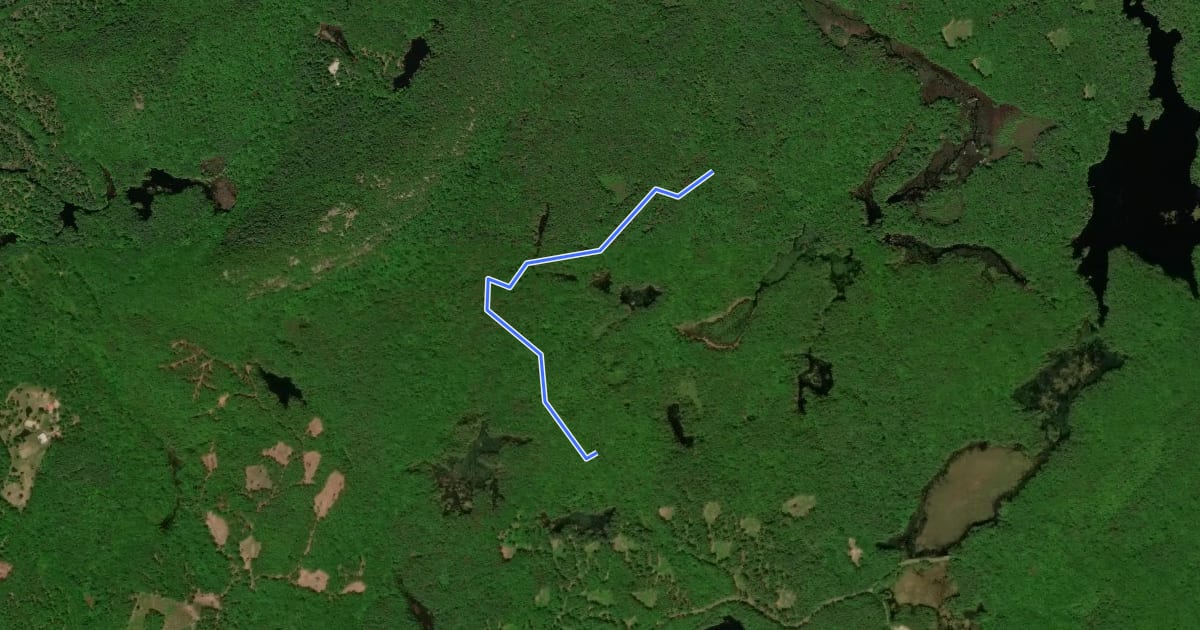 Маршрут Split Rock Trail на спутниковом снимке