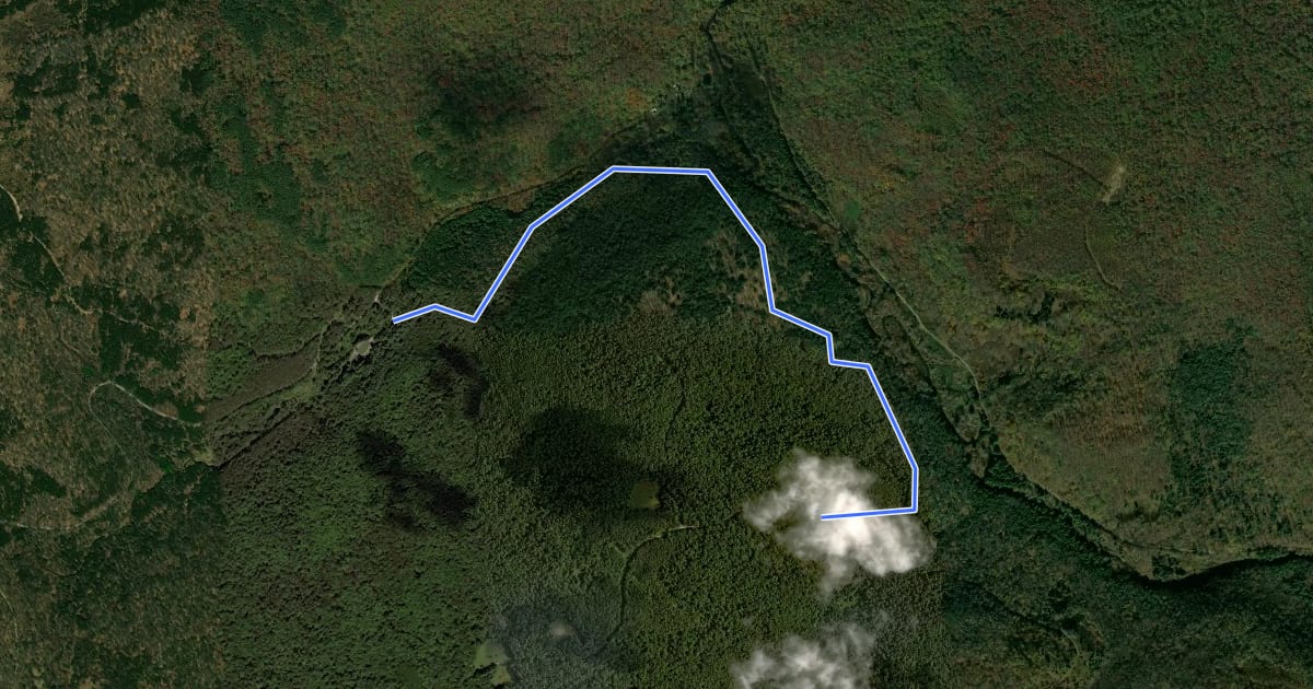 Маршрут Spring Creek - Trail 03 на спутниковом снимке