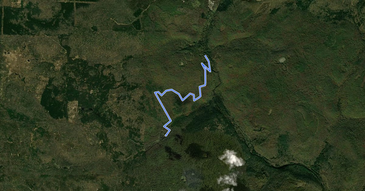 Маршрут Spring Creek - Trail 05 на спутниковом снимке