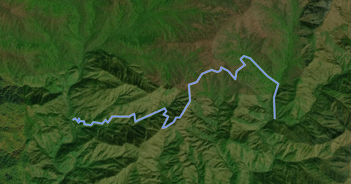 Маршрут Springhouse Branch Trail на спутниковом снимке