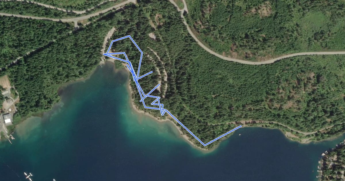 Маршрут Sproat Lake Park Trail на спутниковом снимке