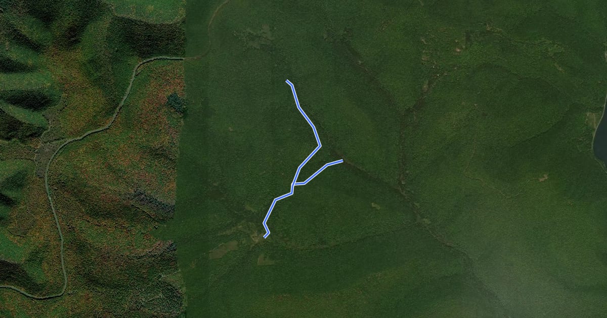 Маршрут Sproul - Lebo Trail на спутниковом снимке