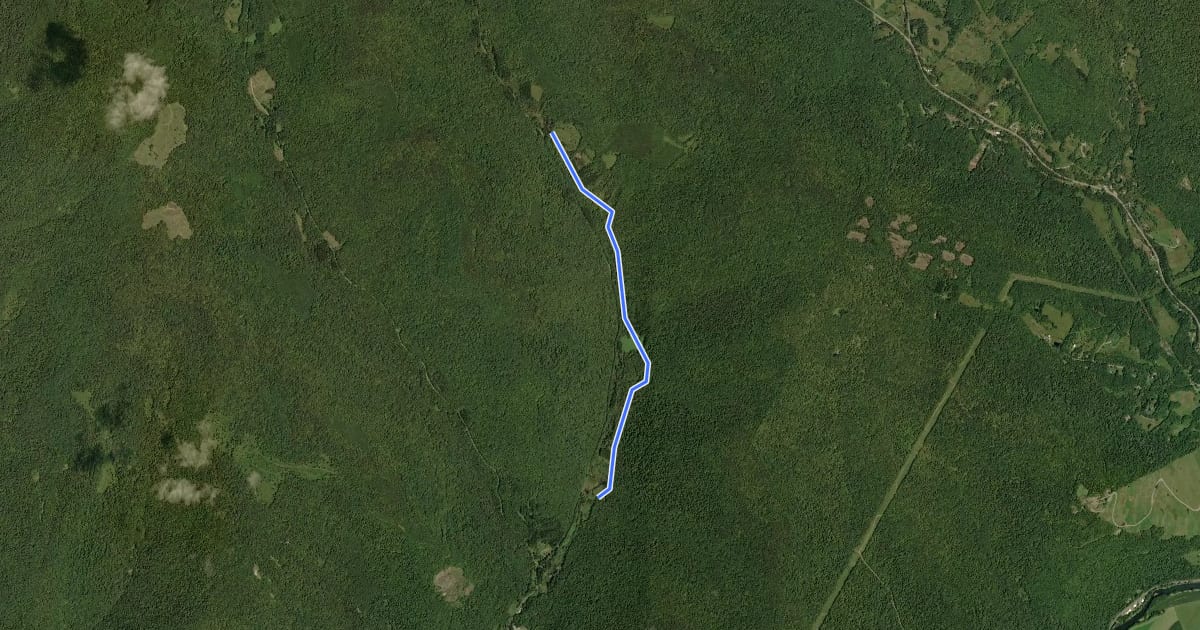 Маршрут Spruce Grove Spur на спутниковом снимке