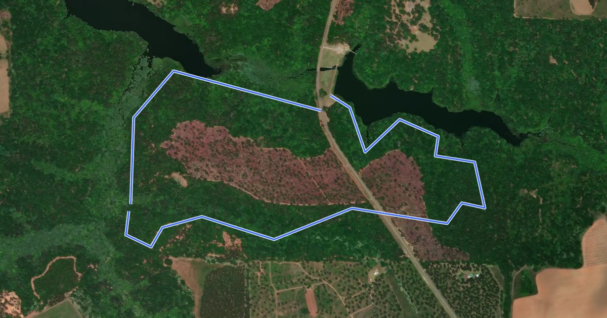 Маршрут Spruce Pine Trail на спутниковом снимке