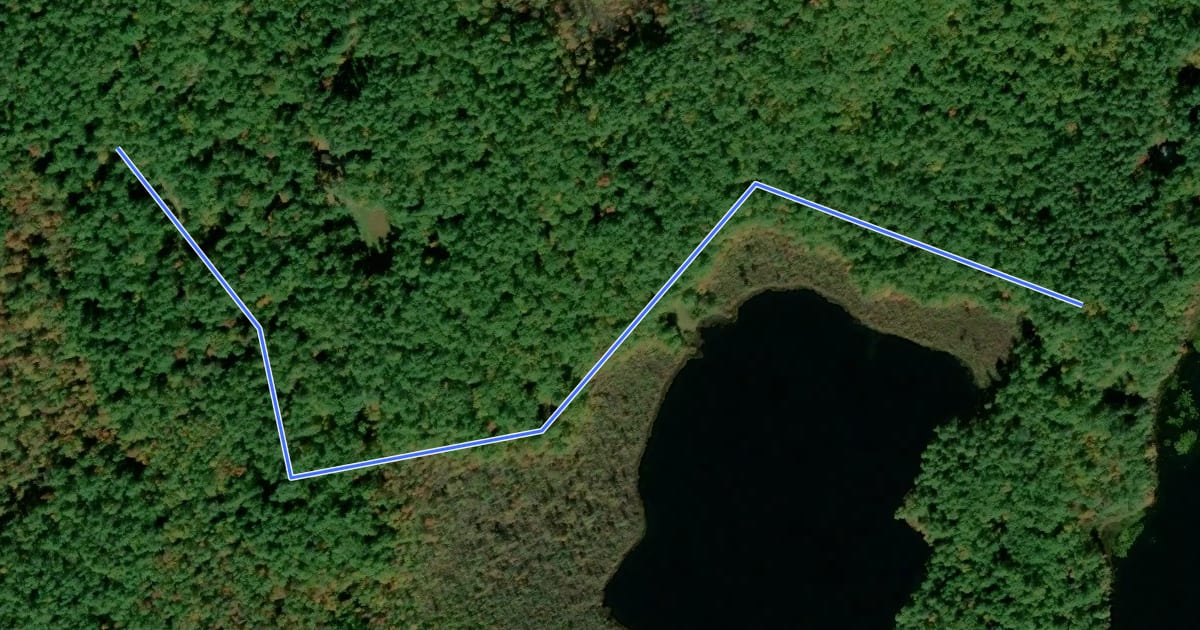 Маршрут Spruce Pond Trail на спутниковом снимке