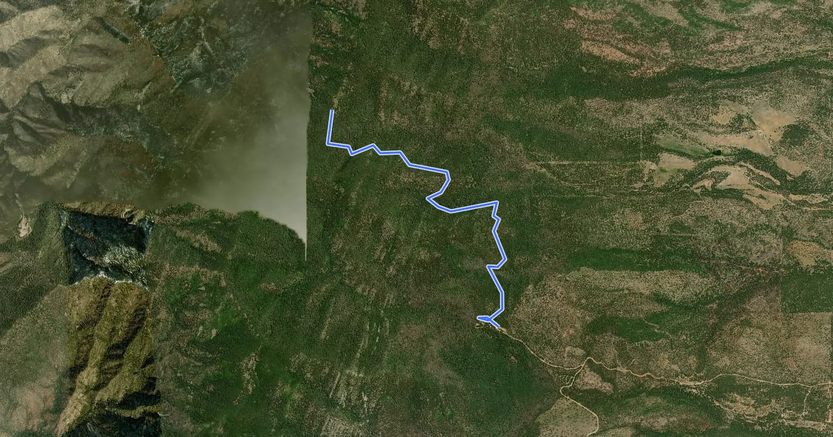 Маршрут Spruce Spring Trail на спутниковом снимке