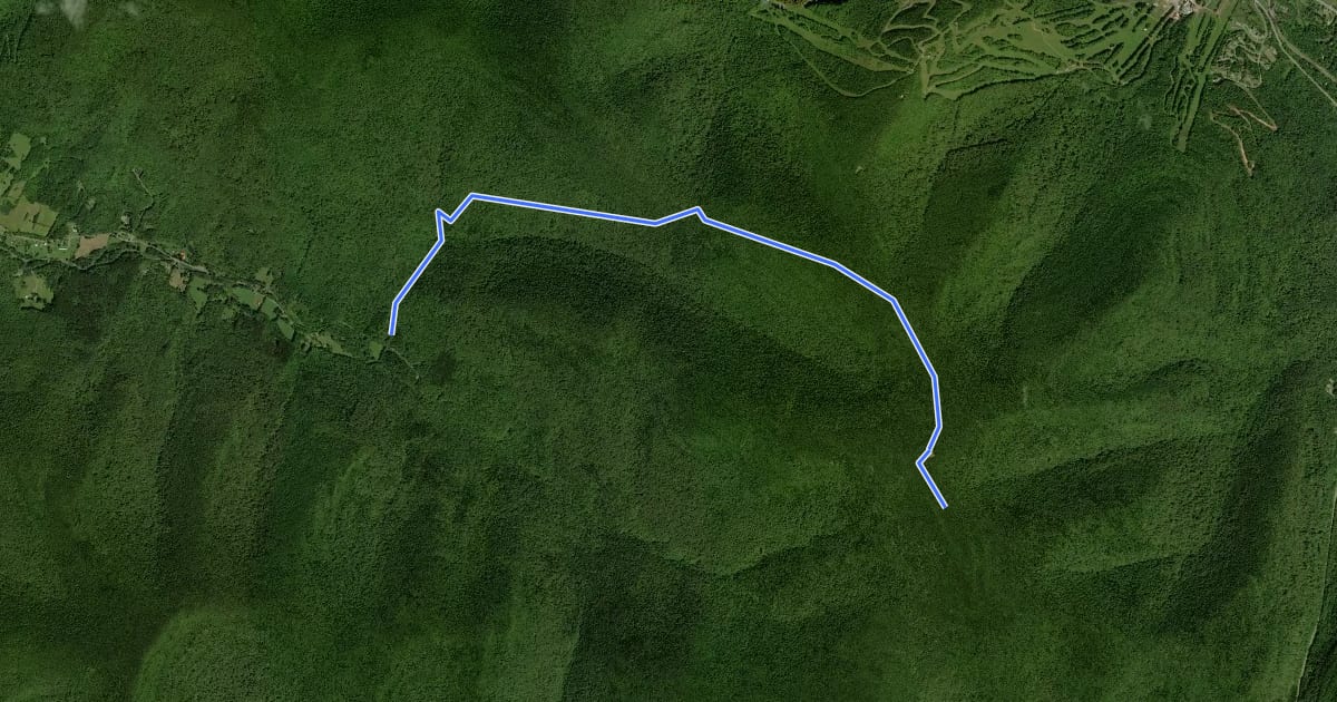 Маршрут Spruceton Trail на спутниковом снимке