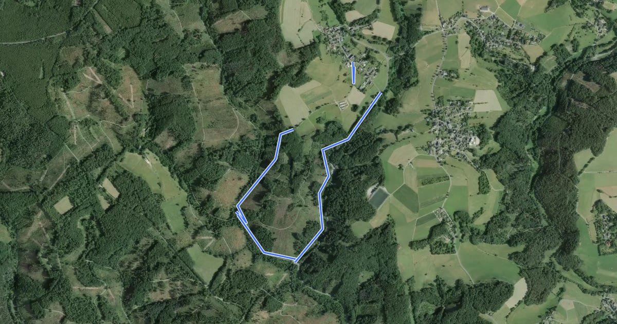 Маршрут Spurkenbach Rundweg A1 на спутниковом снимке