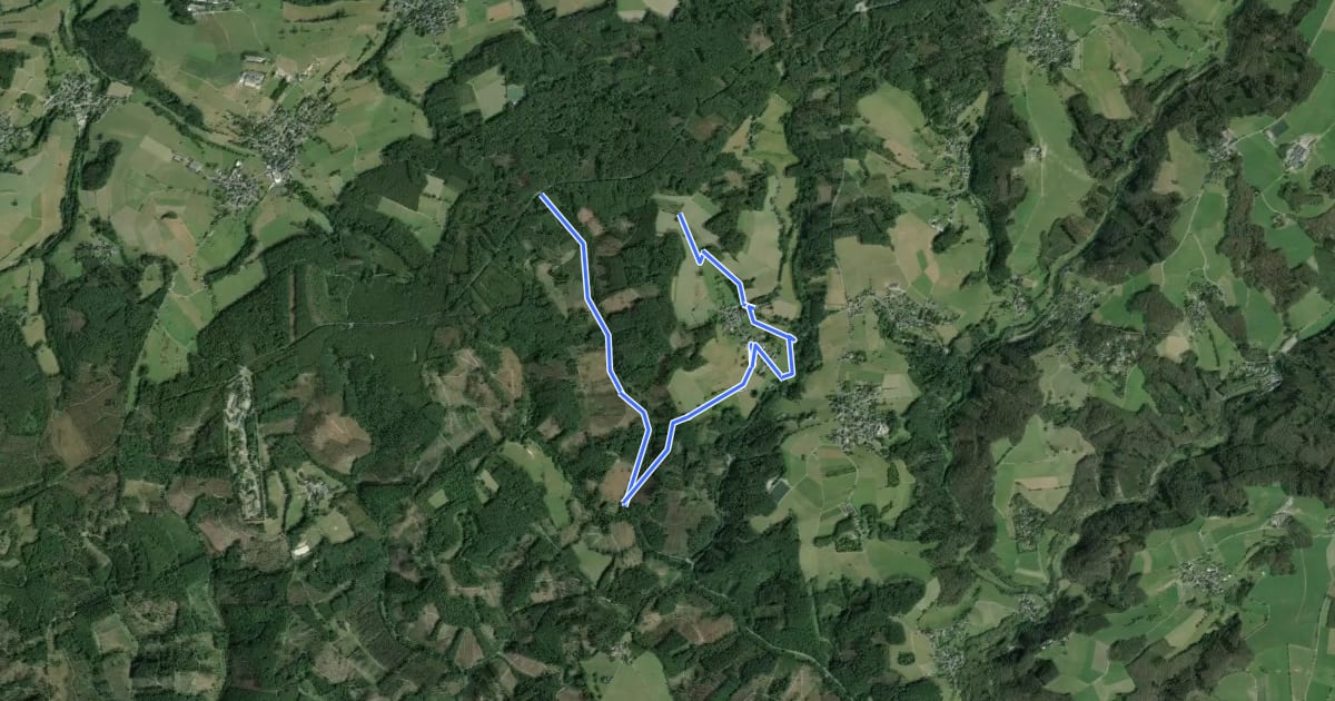 Маршрут Spurkenbach Rundweg A4 на спутниковом снимке