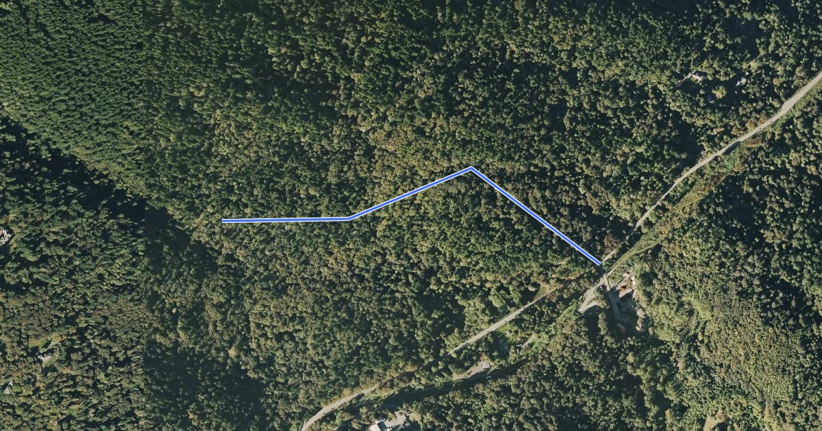 Маршрут Squak Mountain Connector Trail на спутниковом снимке