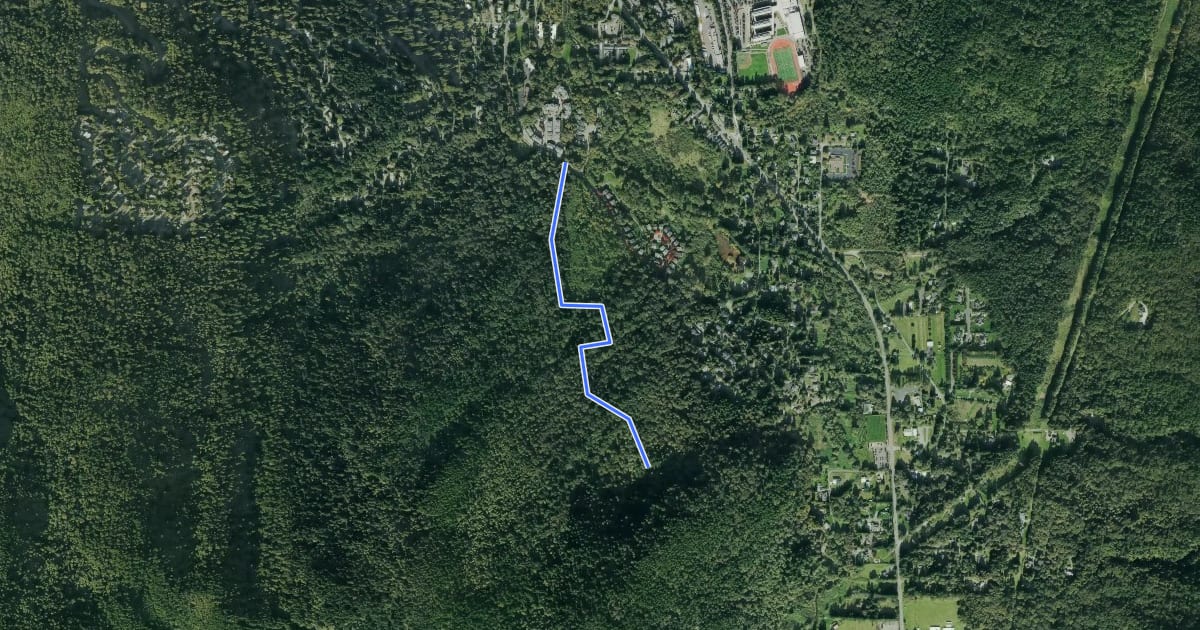 Маршрут Squak Mtn Access Trail на спутниковом снимке