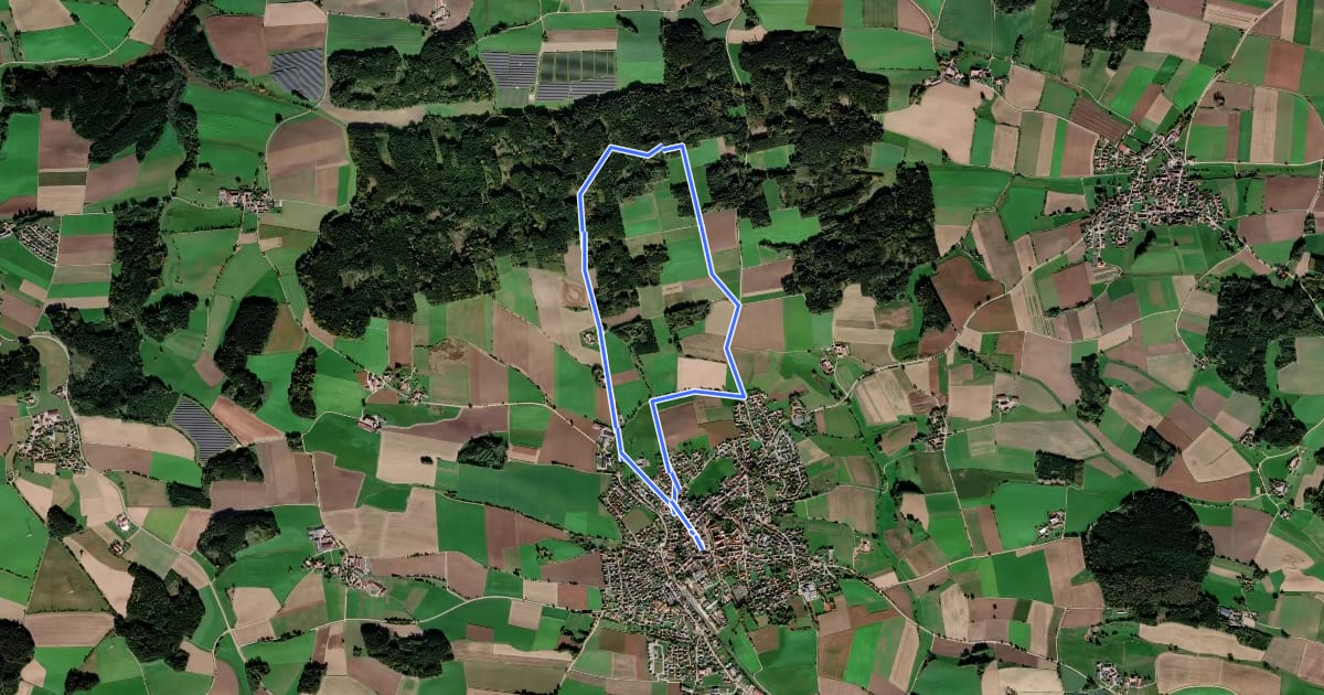 Маршрут St.-Alto-Weg на спутниковом снимке