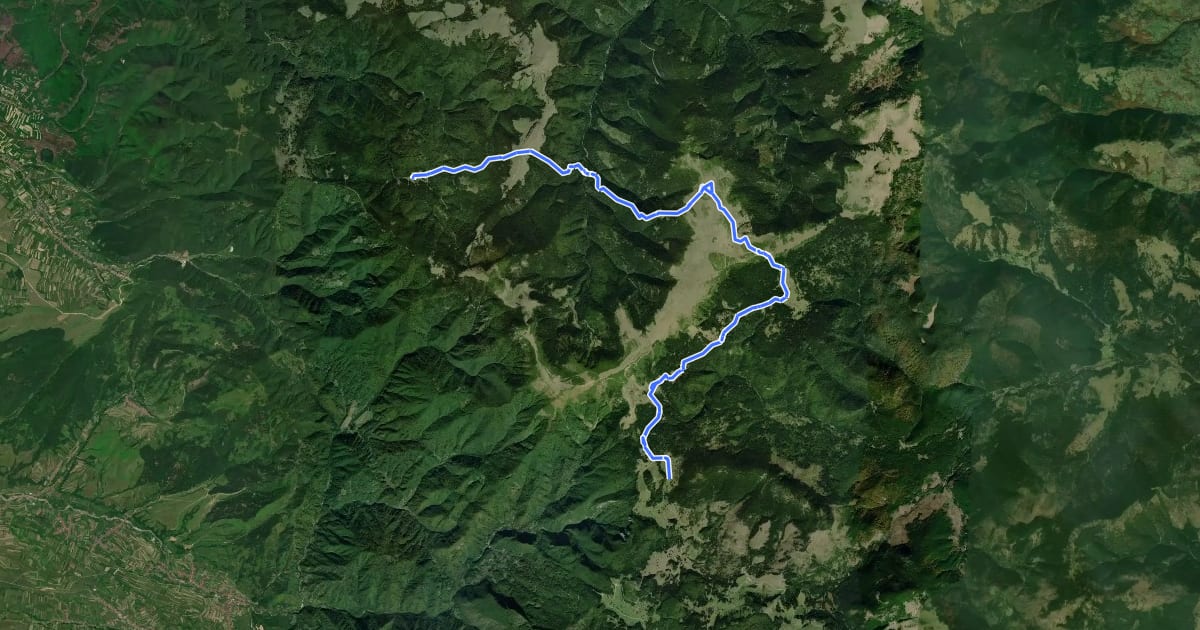 Маршрут Stâna de Vale-P-na Stânișoara-Piatra Tâlharului-Șaua Vărășoaia на спутниковом снимке