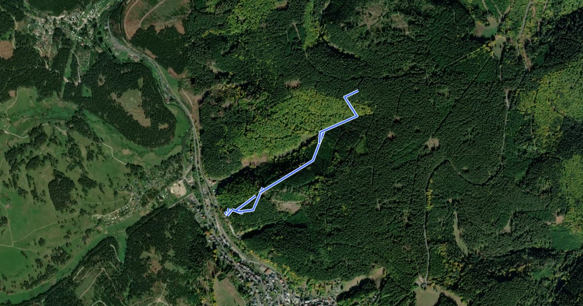 Маршрут Stützerbach Trail на спутниковом снимке