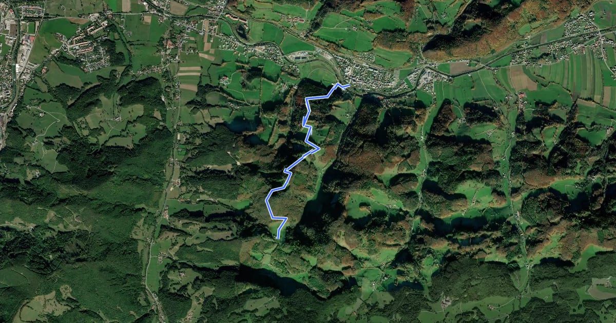 Маршрут St. Veit an der Gölsen - Staffhütte - Oberhauser на спутниковом снимке