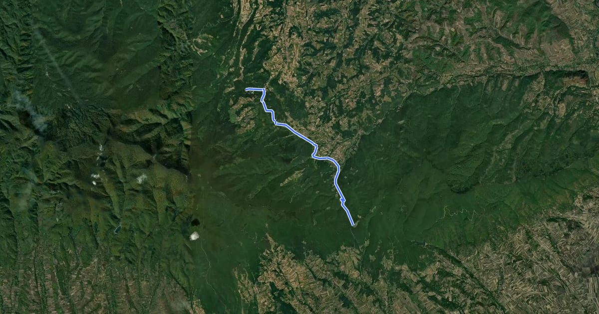 Маршрут ST417 Ribarska banja - Grebac на спутниковом снимке