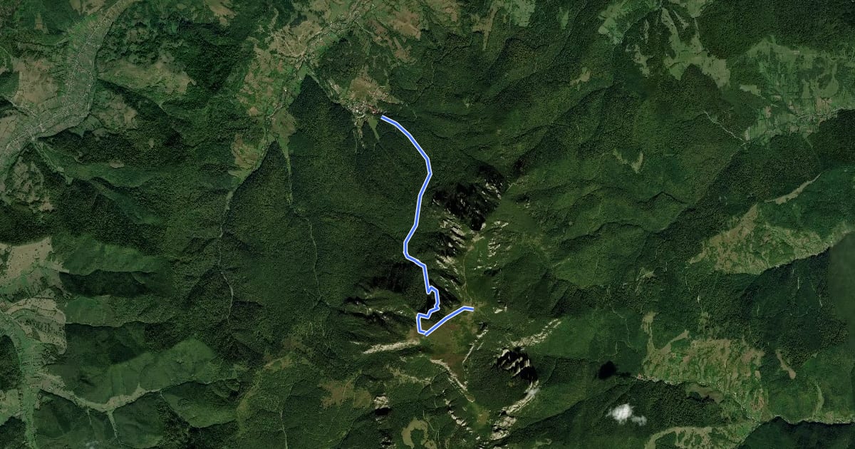 Маршрут Stațiunea Durău – Cascada Duruitoarea – Cabana Dochia (red cross) на спутниковом снимке